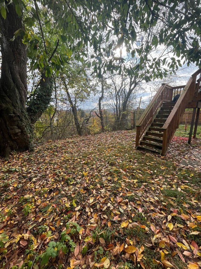 Building Photo - Experience Elevated Living in the Heart of Mt. Washington!