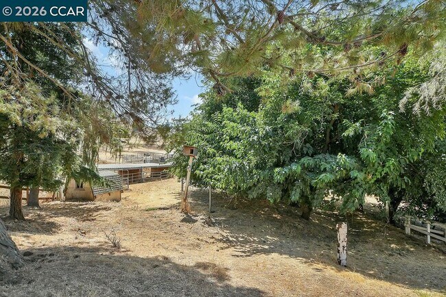 Building Photo - 4161 Leon Dr