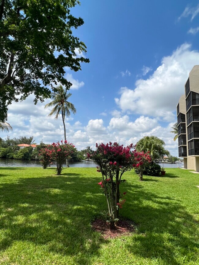 Building Photo - 7 Royal Palm Way