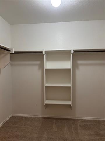 Building Photo - 2105 Alamandine Ave