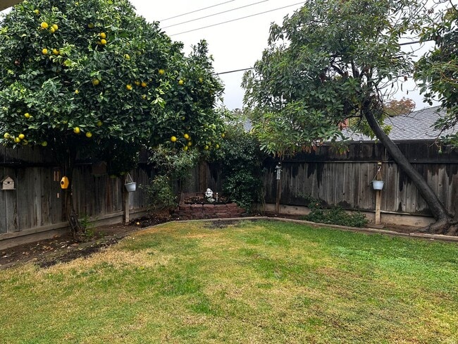 Building Photo - Fresno Home Available for Lease
