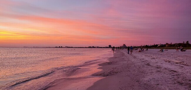 Building Photo - FURNISHED LUXURY 3 Br 3 Ba RENTAL NEAR DOWNTOWN ST PETERSBURG, FL