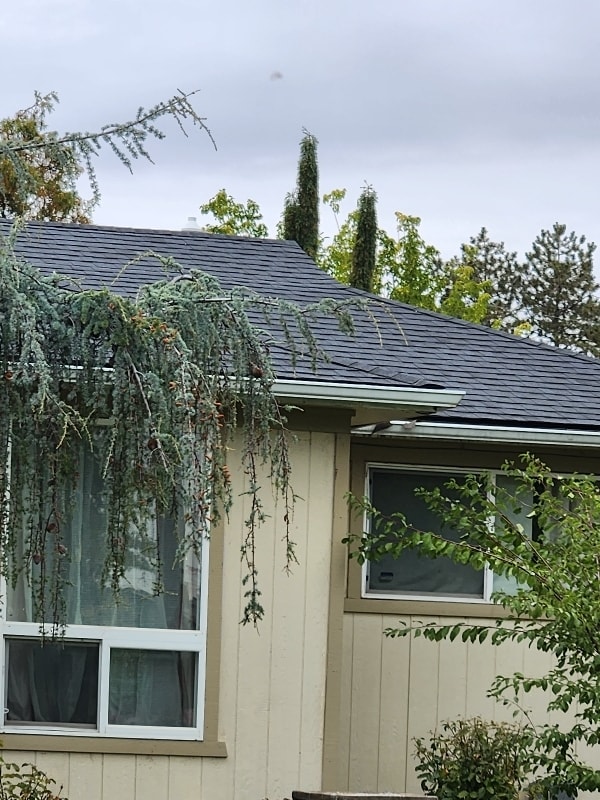 Building Photo - 710 Catskill St