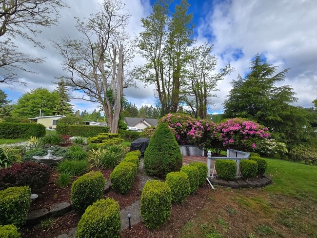 Building Photo - Montesano Historic Home for Rent