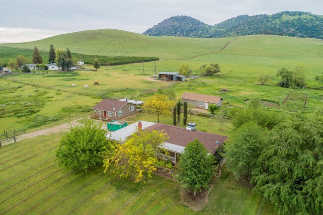 Building Photo - 1 Bedroom Cottage for Rent on shared 5 Acres