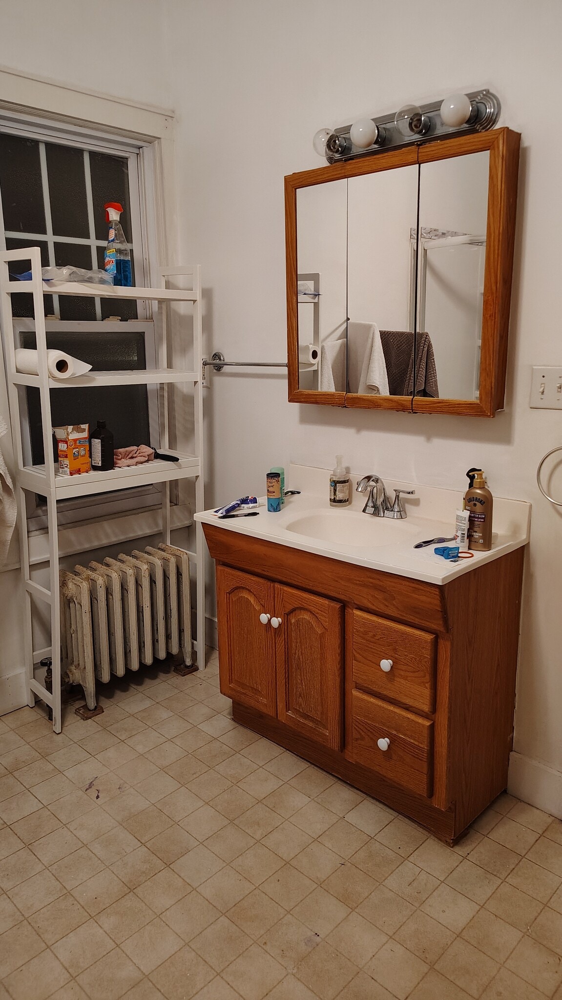 BATHROOM VANITY LARGE BATHROOM - 4 Edmarth Pl