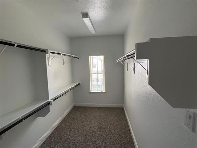 Building Photo - 4720 Corriente Vista Ln
