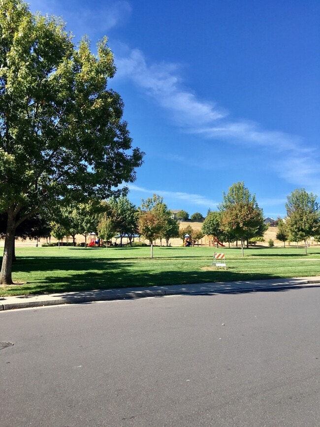 Building Photo - Large, Dog Friendly Rocklin Home with a View!