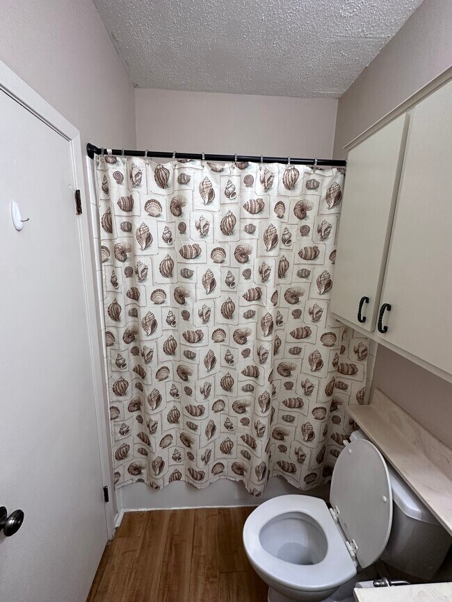 Bathroom - 2905 Swisher St