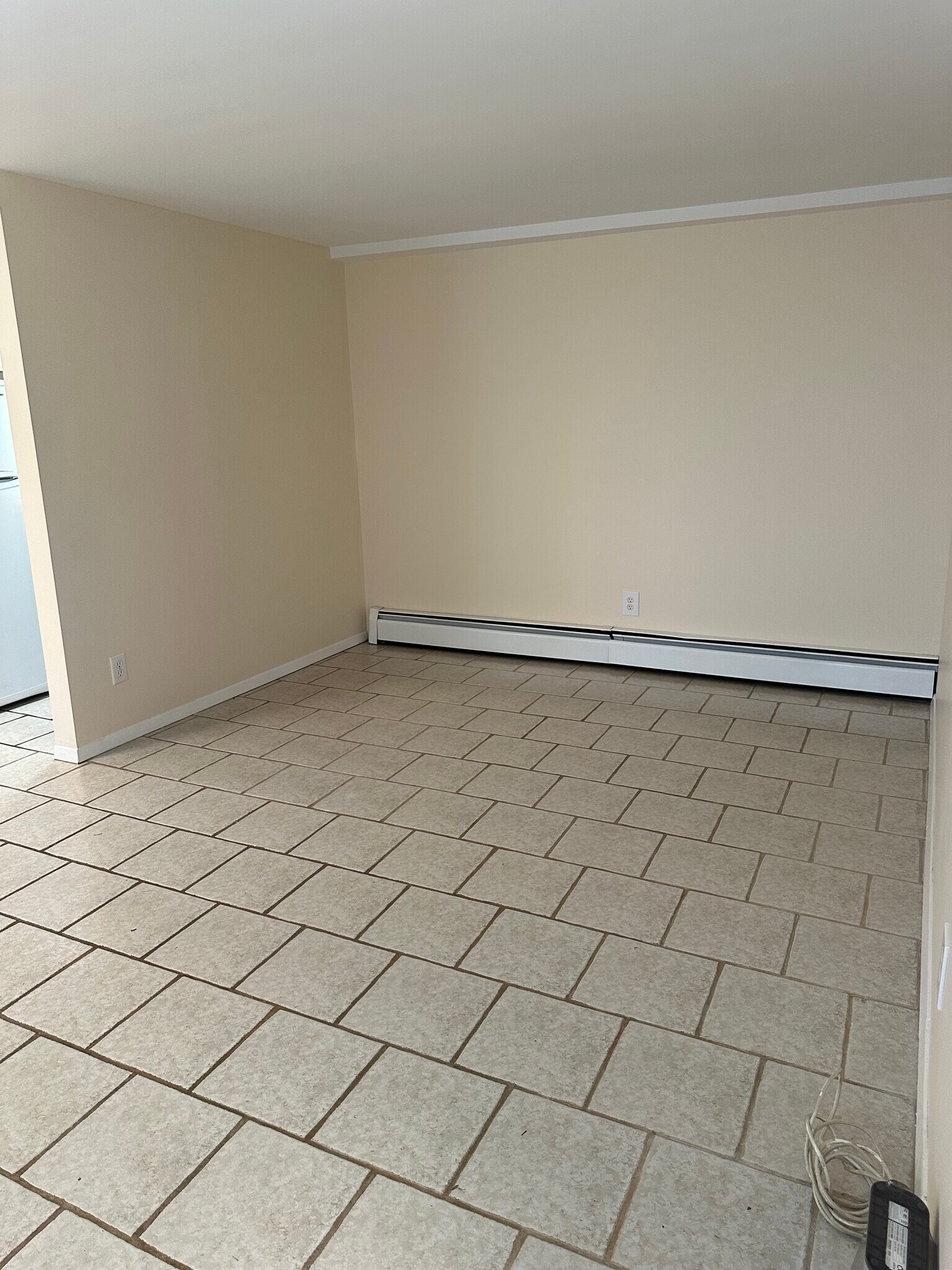 Living Room/Bedroom - 95 Colin St