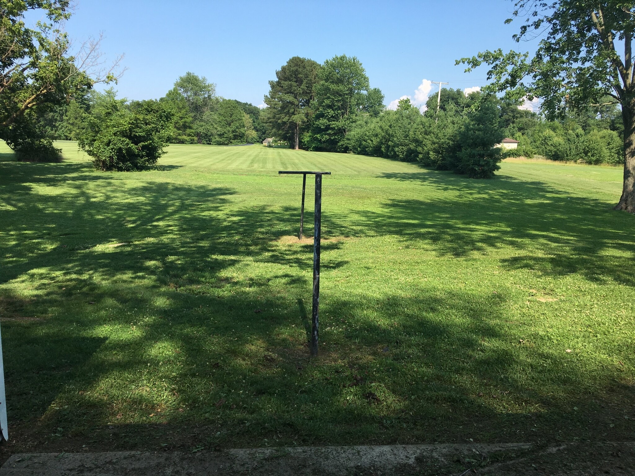 back yard - 1622 S Whittle Ave