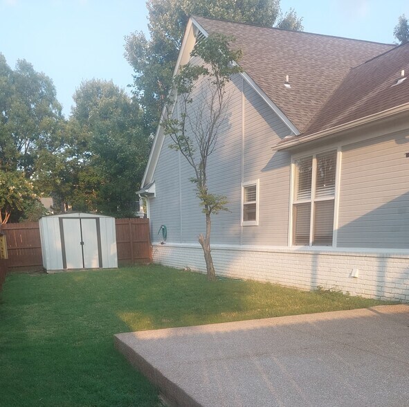 Backyard with shed - 1229 Misty Isle Dr