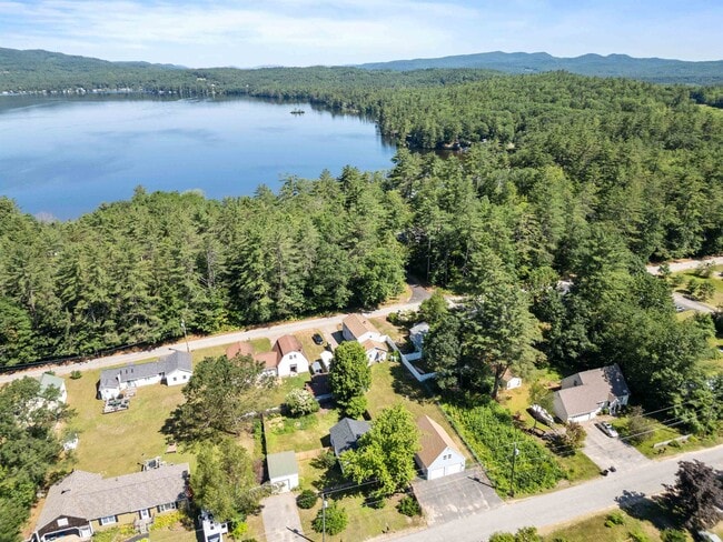 Building Photo - 36 Lark St