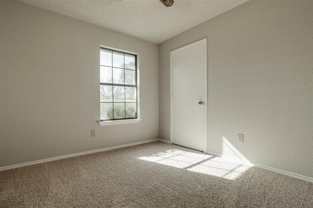 Building Photo - 1305 Chicota Dr