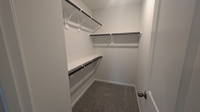 Building Photo - 411 Sandall St