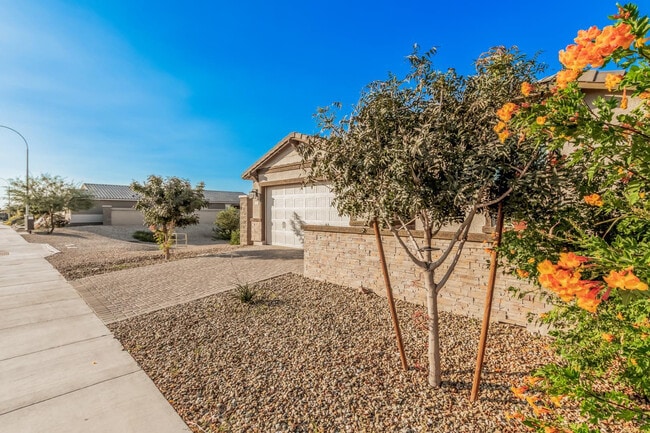 Building Photo - 11022 W Levi Dr