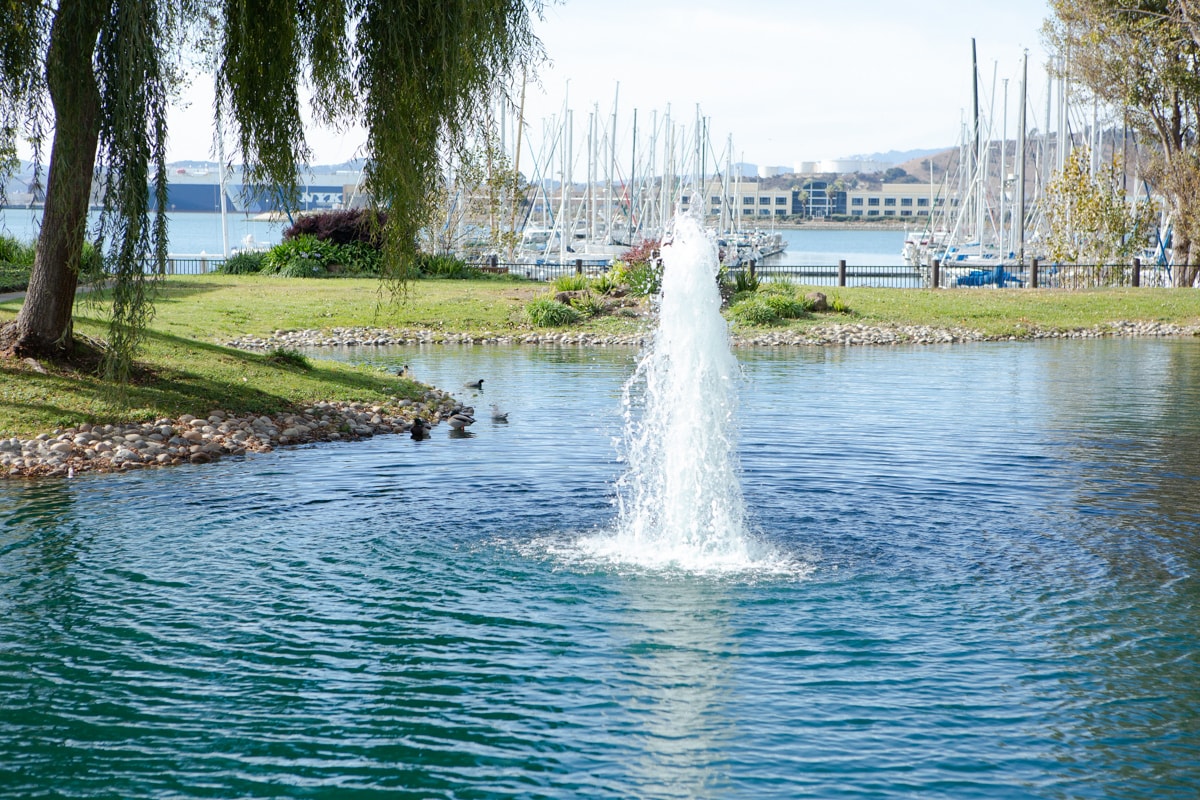 Access to Marina & Trail - 202 Shoreline Ct