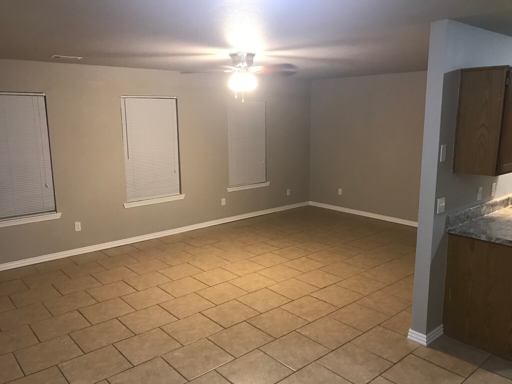 Living - 1382 N Dawn Dr