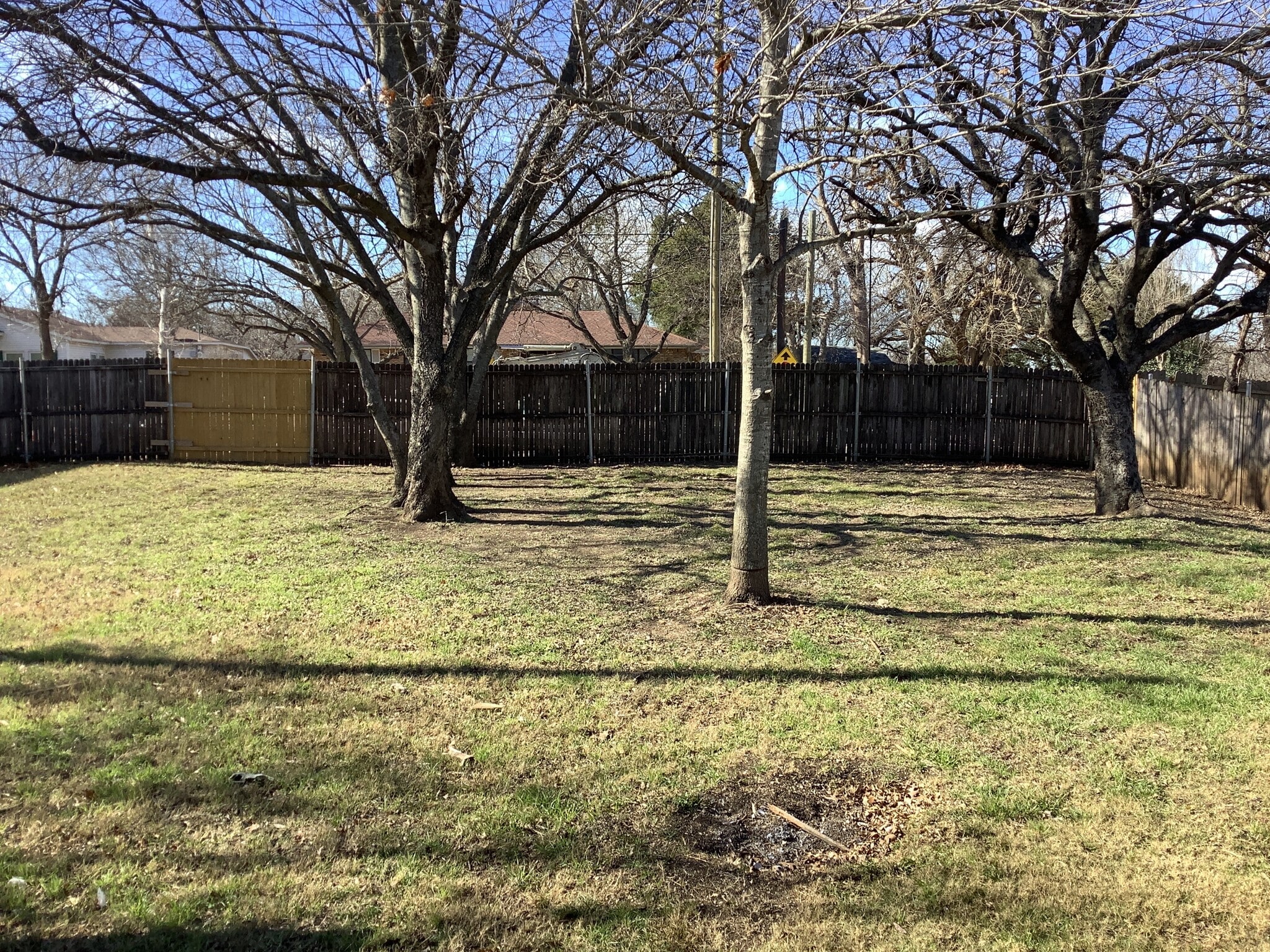 Building Photo - 515 Cool Meadow Ct