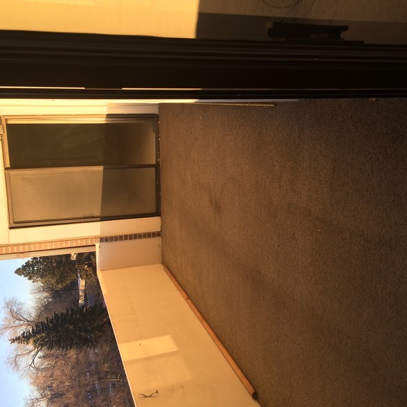 Huge west facing Balcony - 415 S Howes St