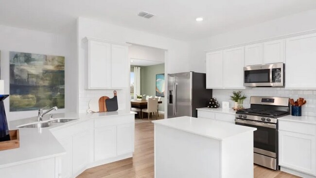 Building Photo - This beautiful 4-bedroom, 2-bathroom new c...