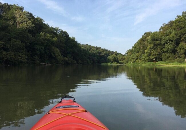Building Photo - 10394 Meadowhead Cir