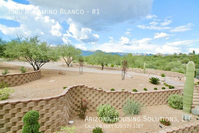 Building Photo - 3900 N Camino Blanco