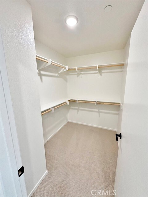 Building Photo - 229 Paddock Ln