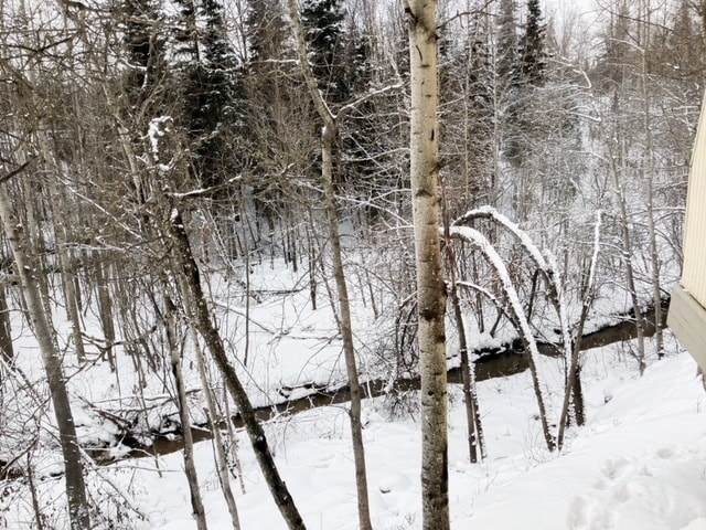 Building Photo - COMING SOON Creekside Views! 1 Bedroom Wes...