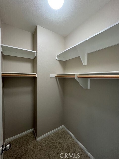 Building Photo - 2884 Bella Ct