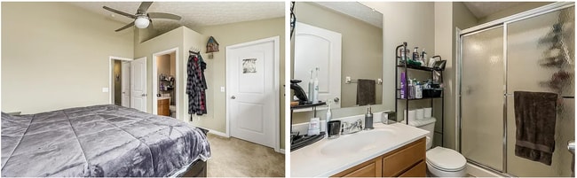 Master Bedroom & Master Bathroom - 5537 Goose Falls Dr