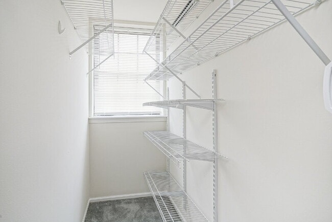 Building Photo - 4526 Concord Pl