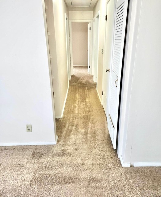 Building Photo - 1505 Holly Hill Dr