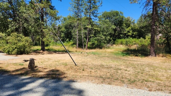Building Photo - Lovely cottage home located minutes from Yuba divide