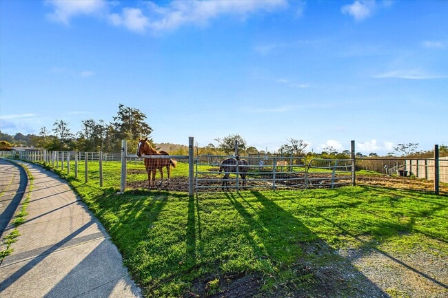 Building Photo - Custom Home on Property just outside of Eureka!