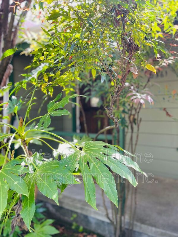 Building Photo - 2561 Olympic Blvd