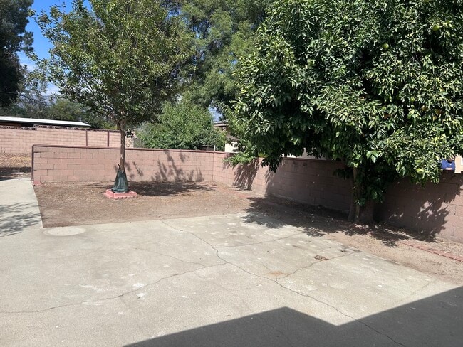 Building Photo - 167 E San Jose Ave