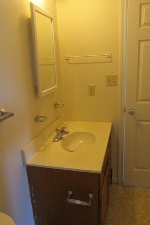 Upstairs bath - 223 Deer Ridge Trail