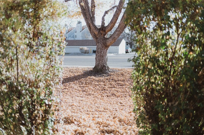 Building Photo - 2639 S Xanadu Way