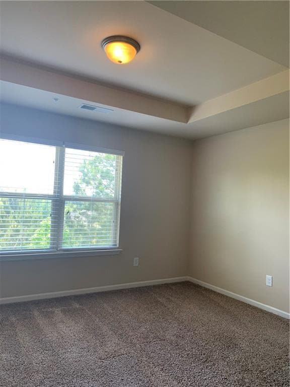 Building Photo - 3406 Castleberry Village Cir
