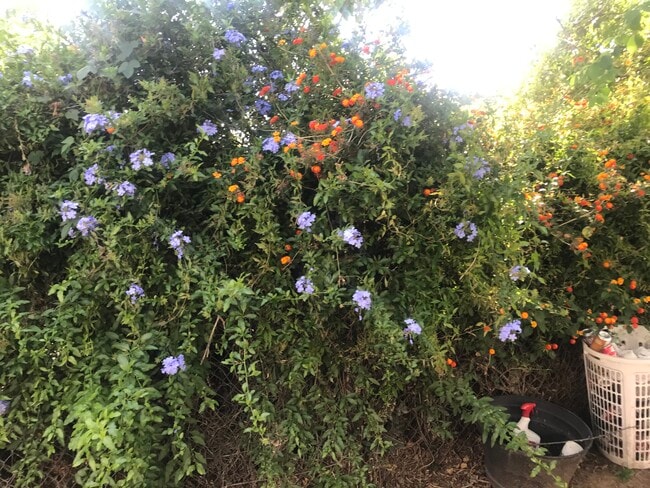 Building Photo - 5888 Grand Ave