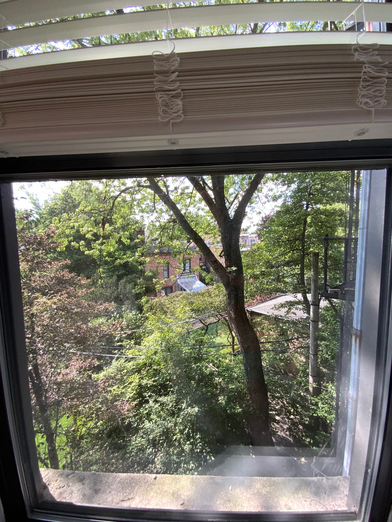 Building Photo - 440 W Belden Ave