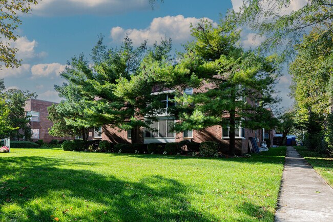 Trees cover the entire property for privacy - Lawrence Woods