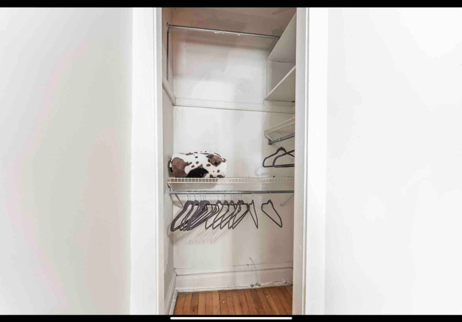 Building Photo - 1246 W Nelson St