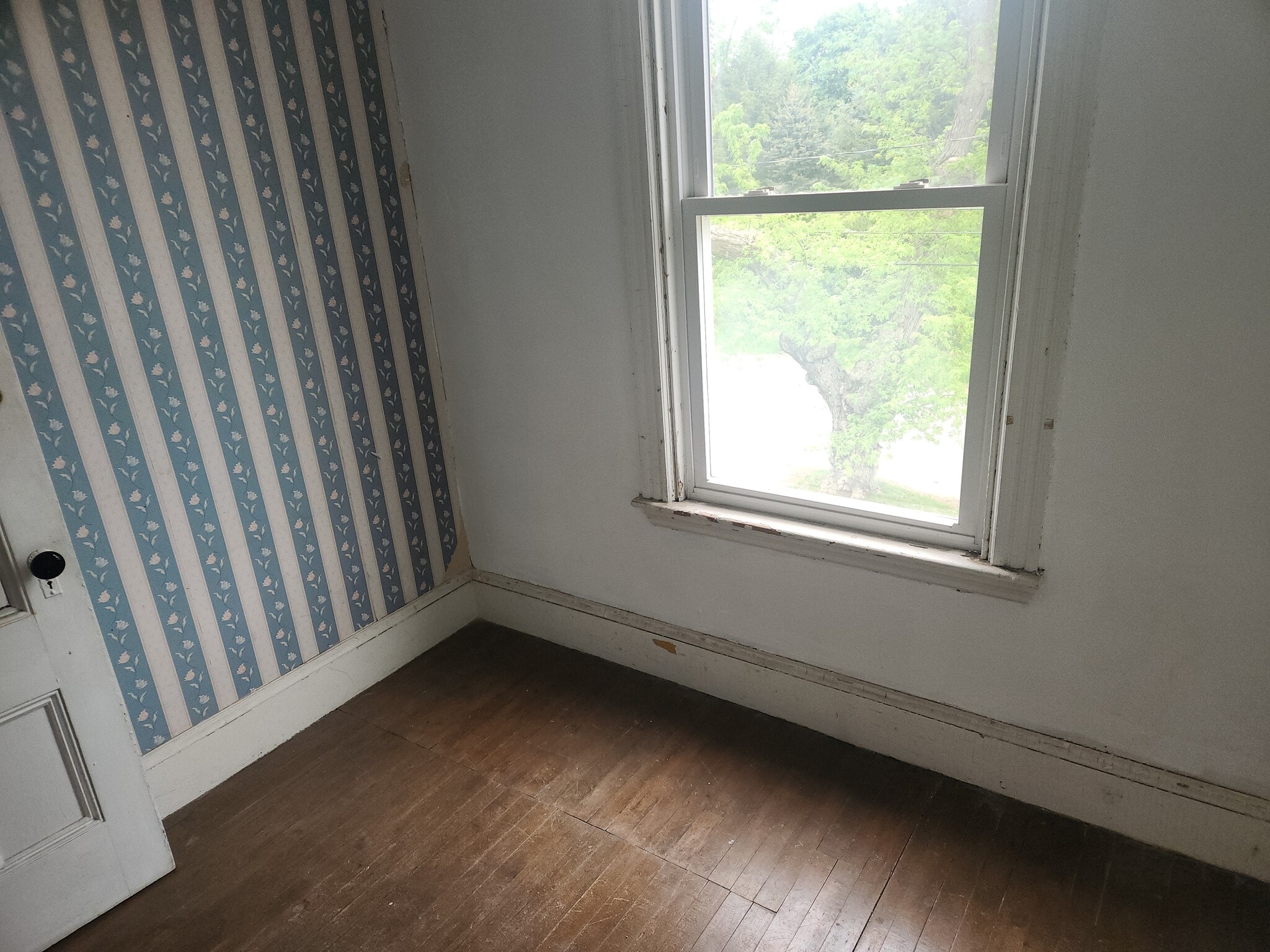 storage - 261 Elm St