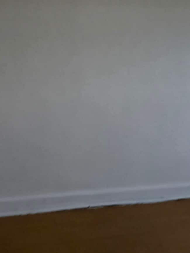 Building Photo - 2445 Brookwood St