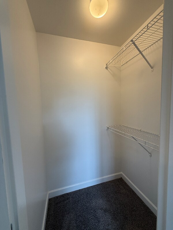 Building Photo - 387 Brooklet Ct