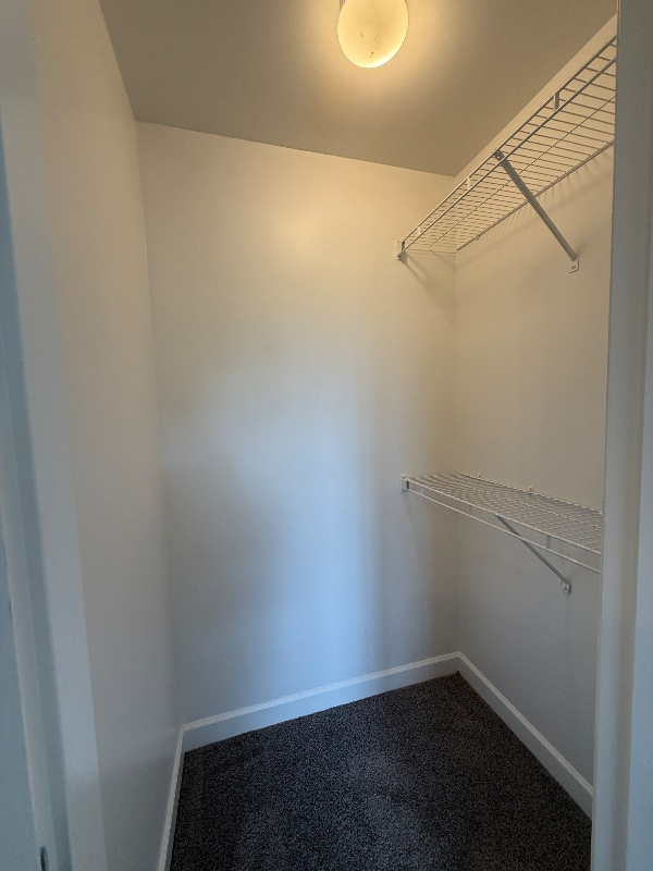 Building Photo - 387 Brooklet Ct