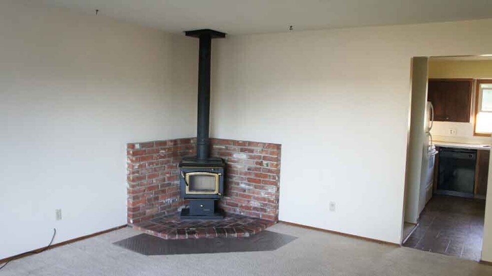 Wood Stove - 12202 E 10th Ave