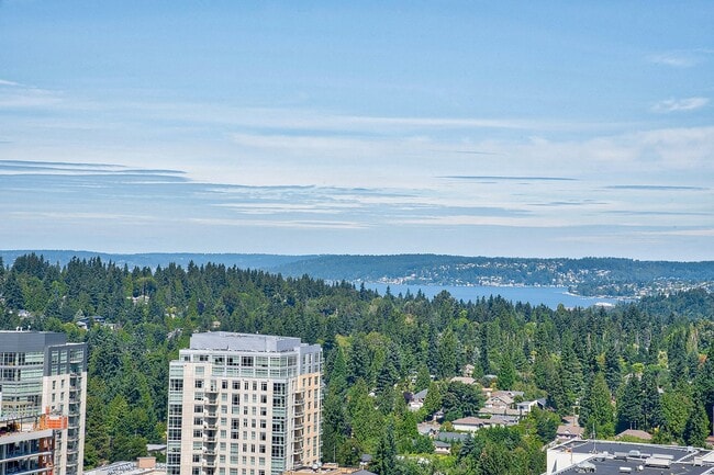 View from exterior living space, penthouse home 3102 - The Bravern